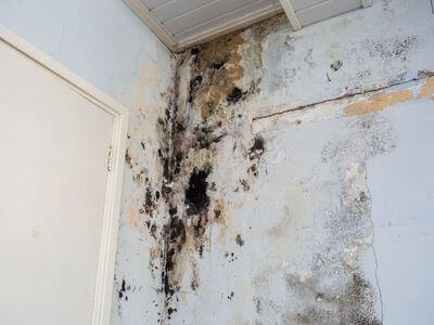 About water damage restoration service - emergency water extraction services experts in Universal